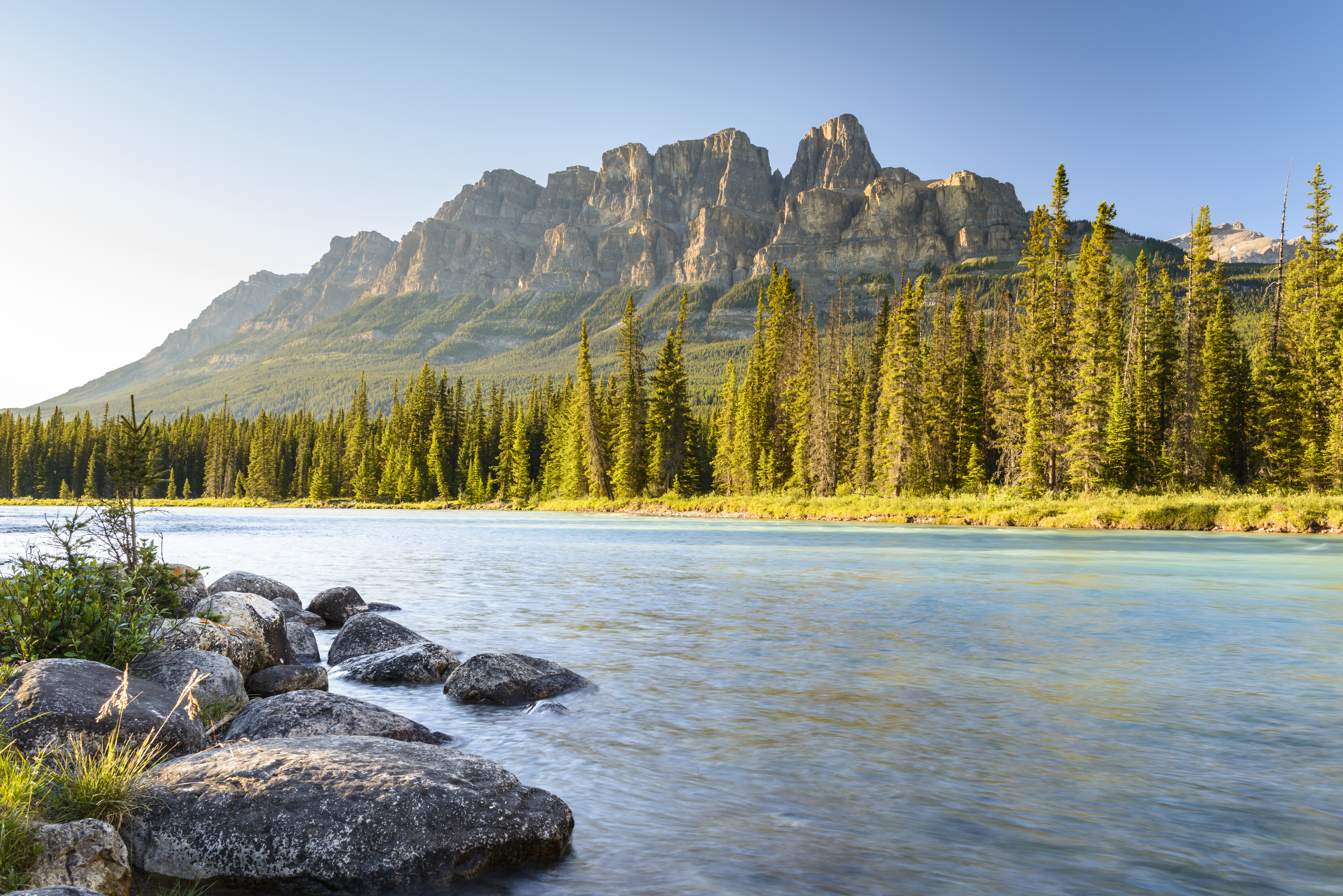 View of Castle mountain with tall trees and coursing river in front of it