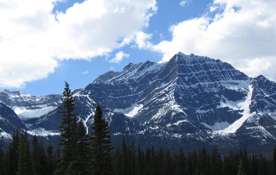 Armin and JoAnne review of their [object Object] trip