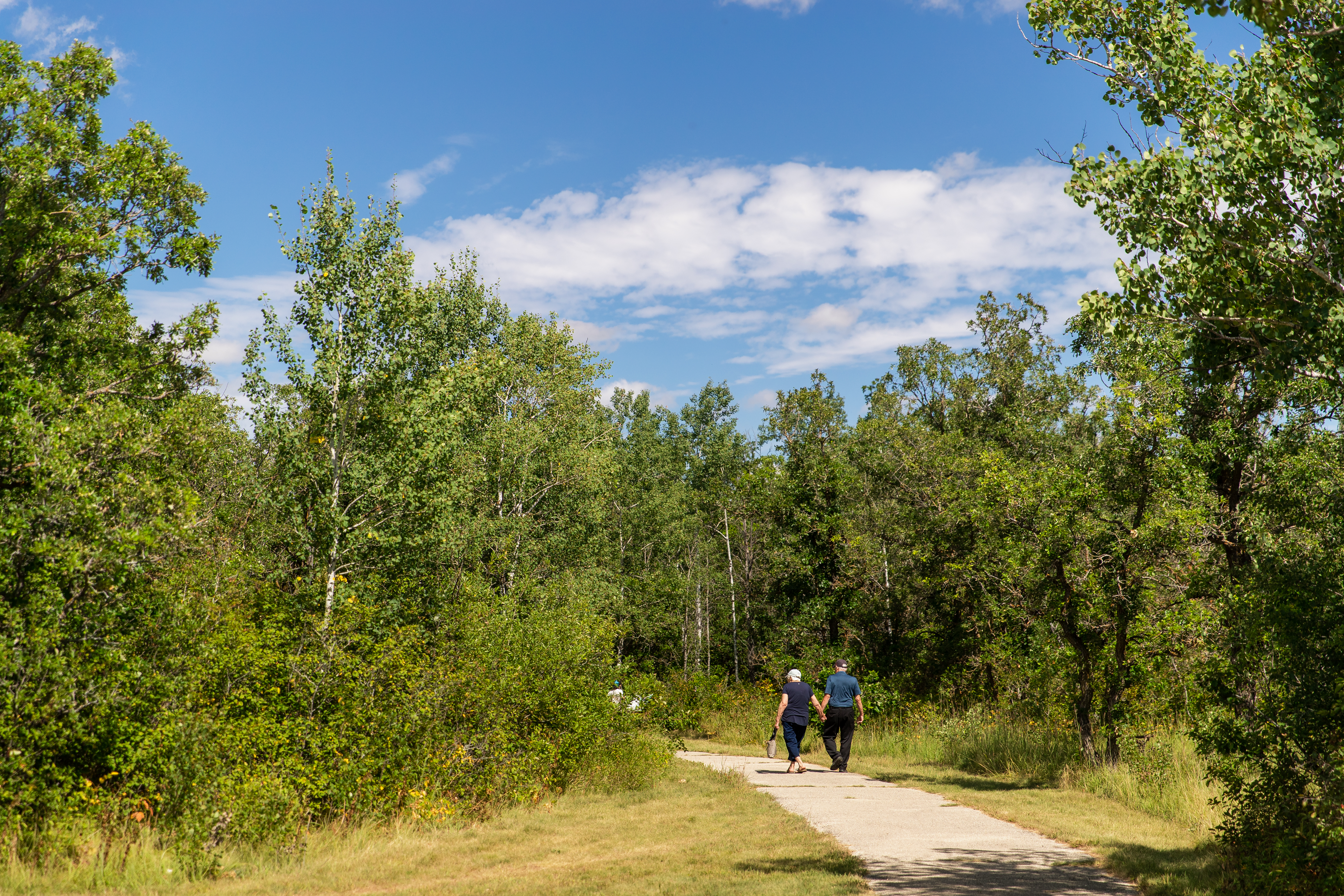 A couple holding hands as they walk along a park trail in summer
