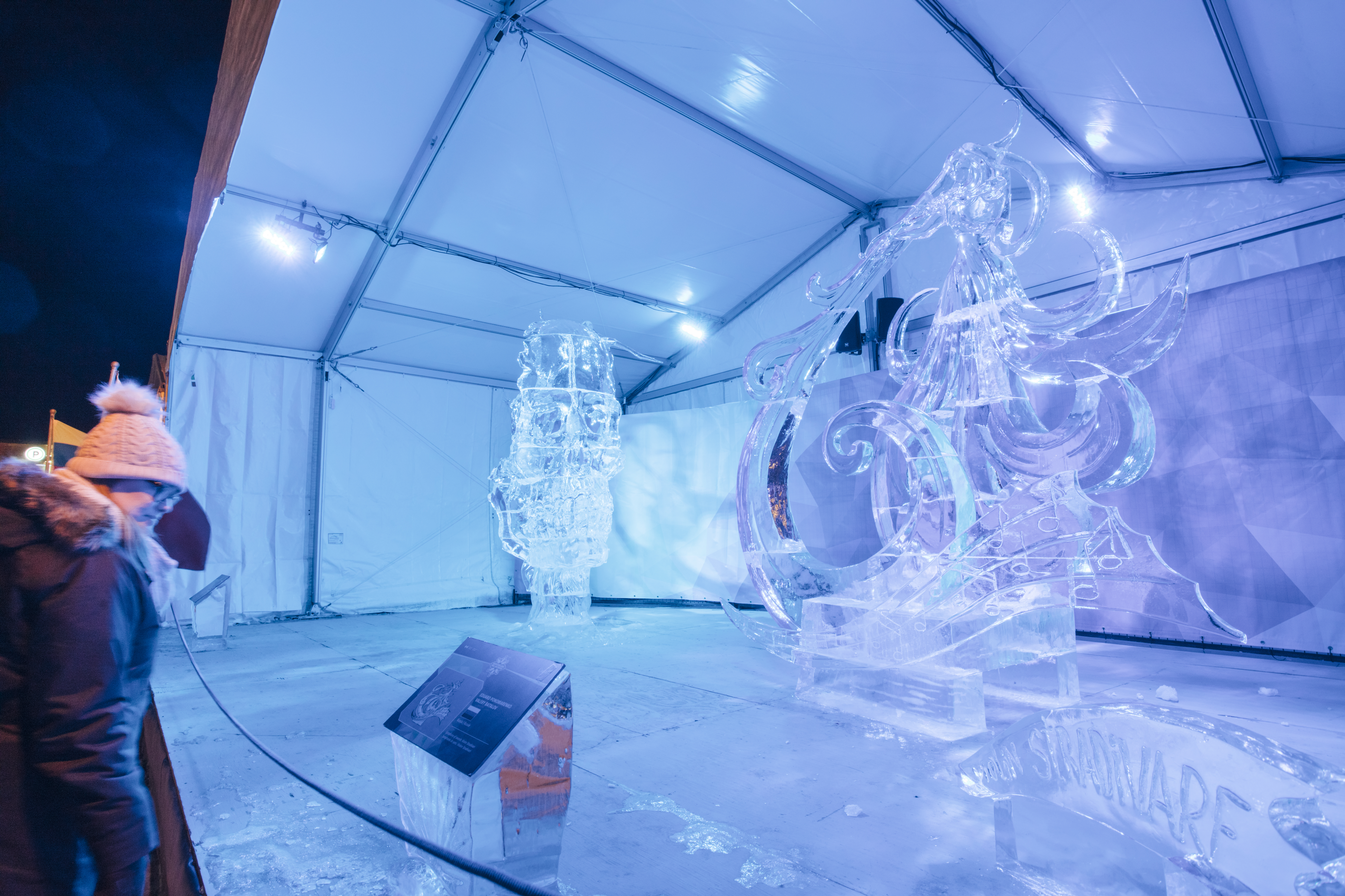 A person looks at ice sculptures in Byward Market at Winterlude festival 
