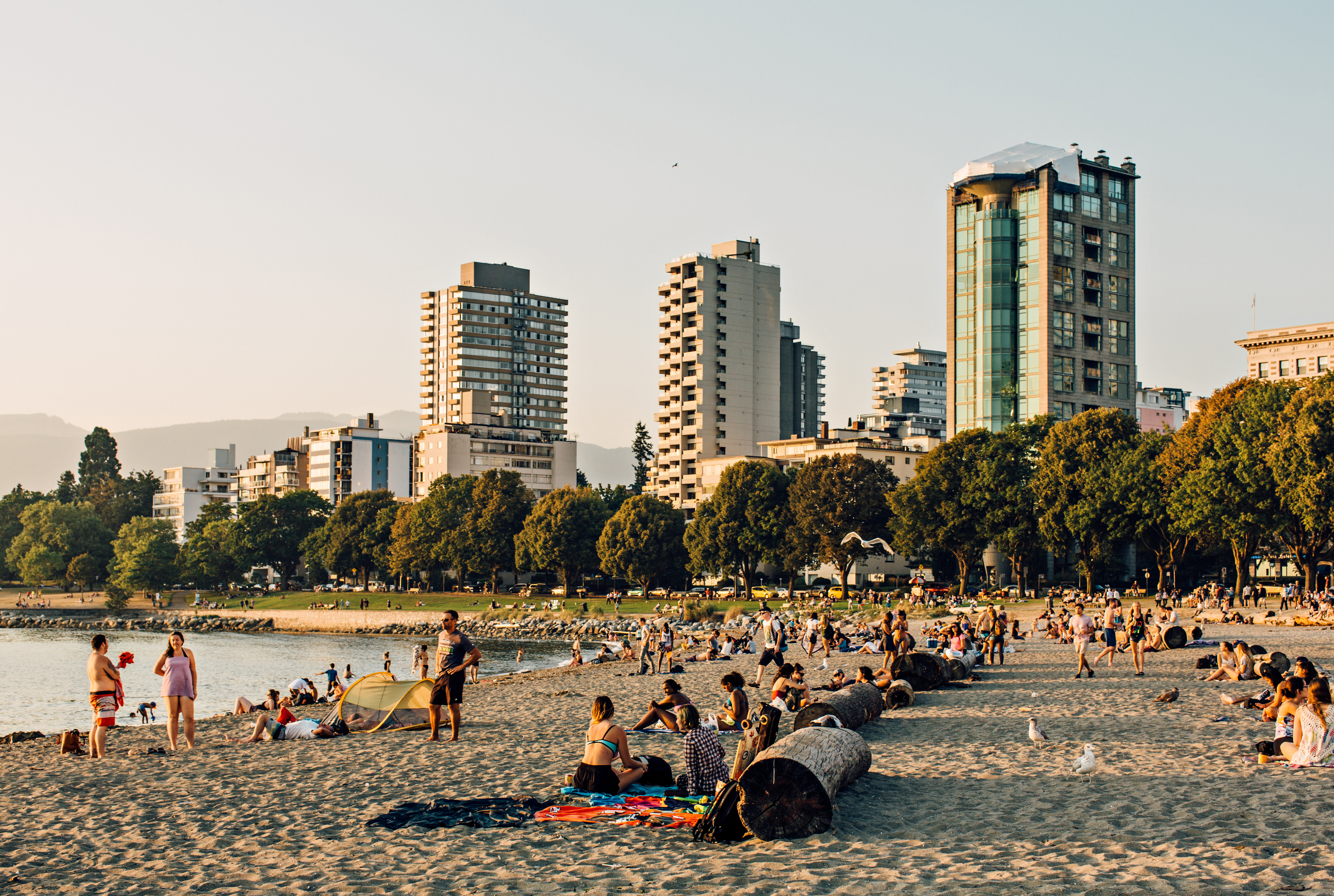People enjoying English Bay beach during summer and buildings in the background