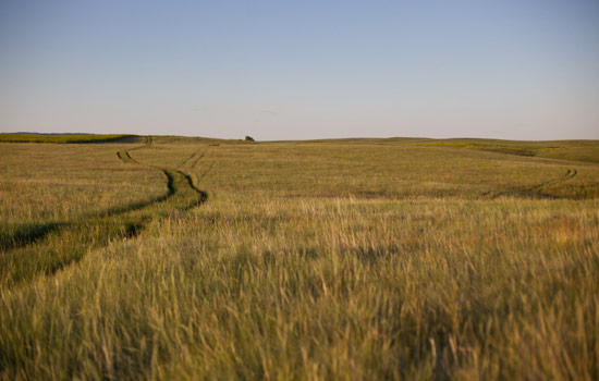 Priscilla and Paul review of their [object Object] trip