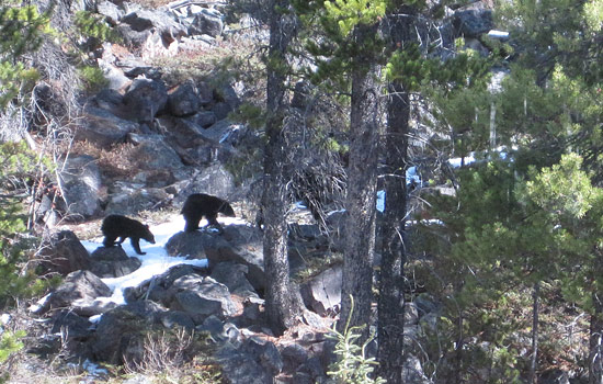 Carol Ann and Jim review of their [object Object] trip