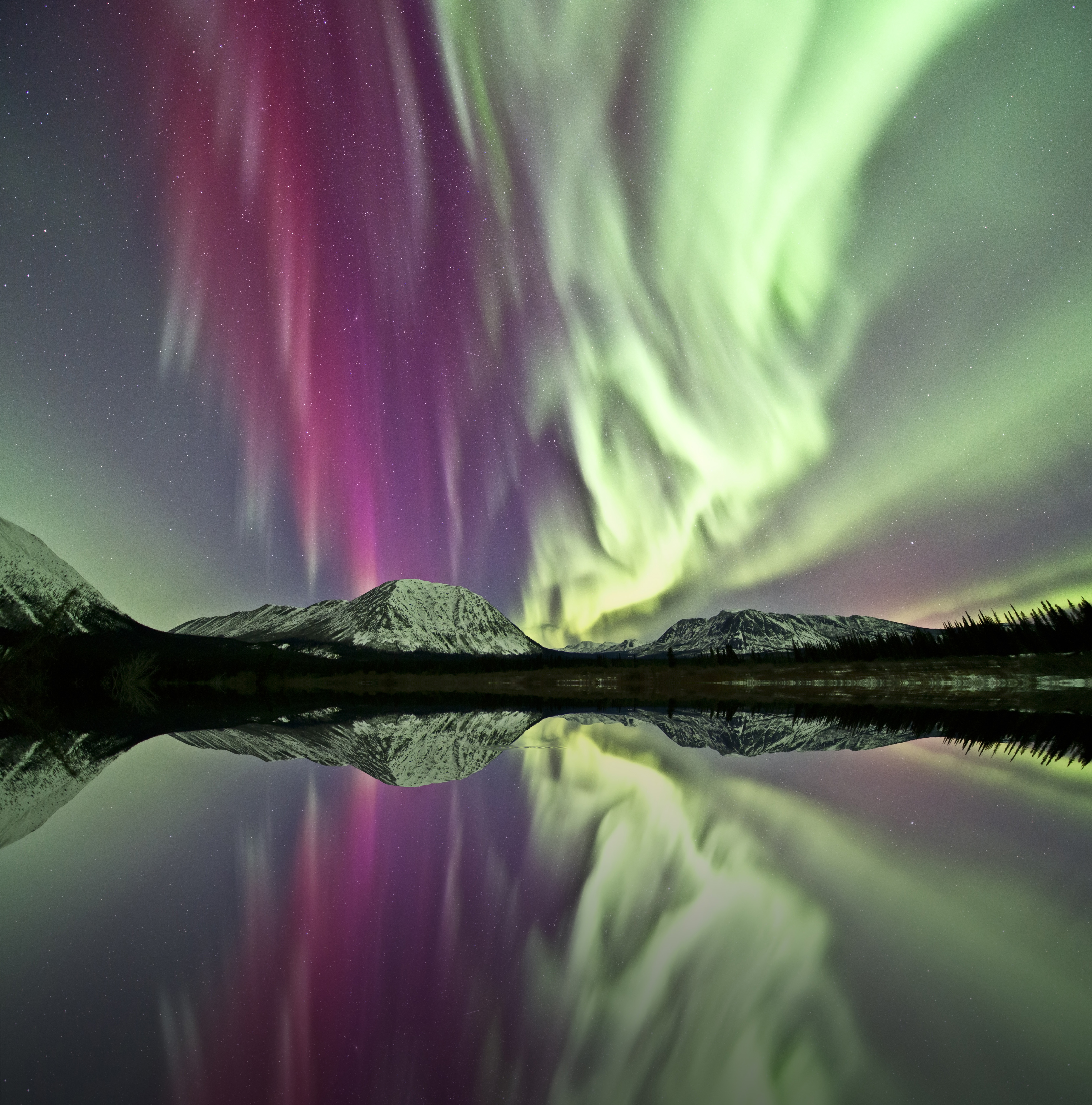Pink and green Northern Lights above a snowy mountain and lake in the Yukon