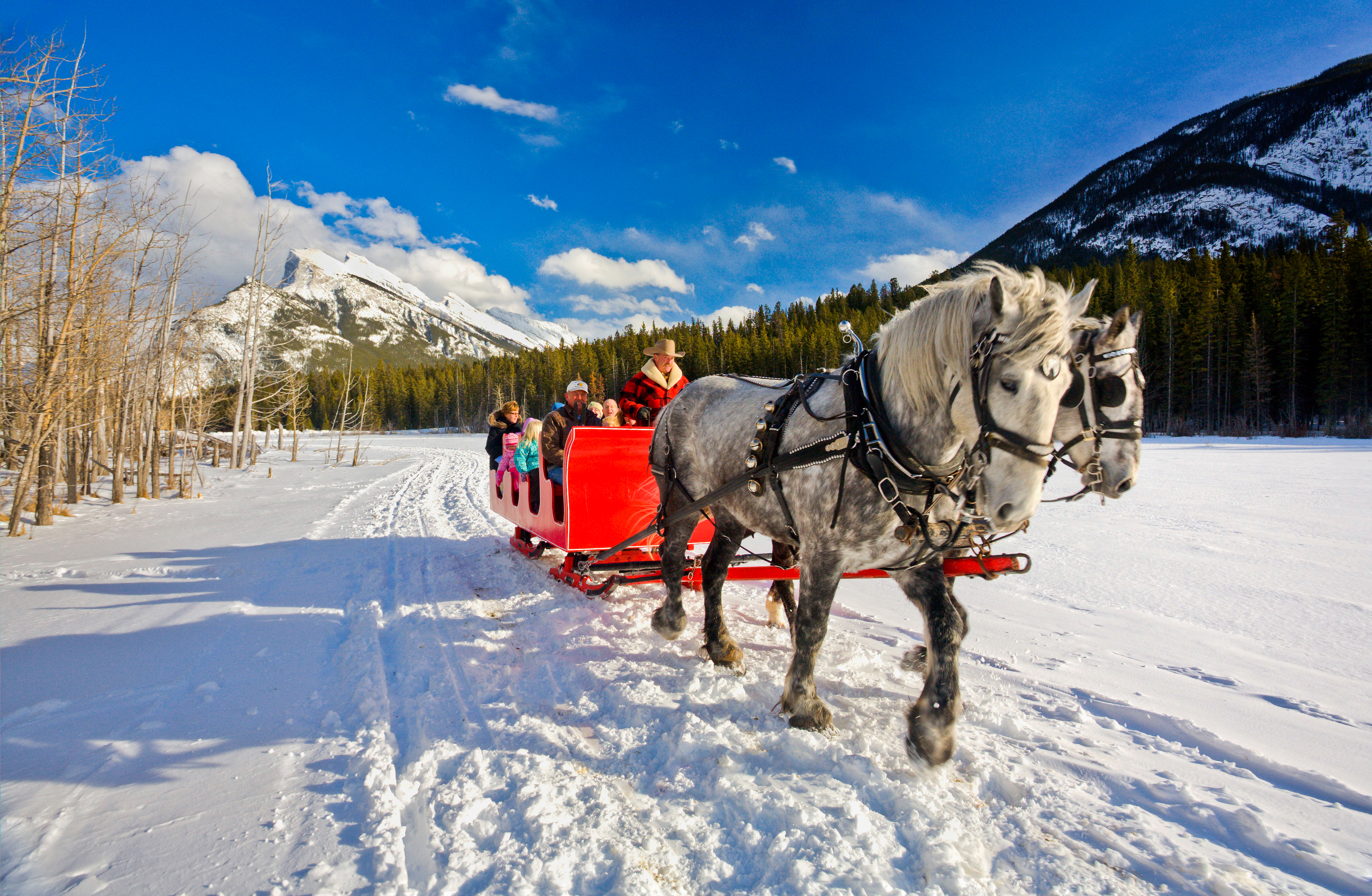 Two horses pull a red sleigh with a small group of people through the snow