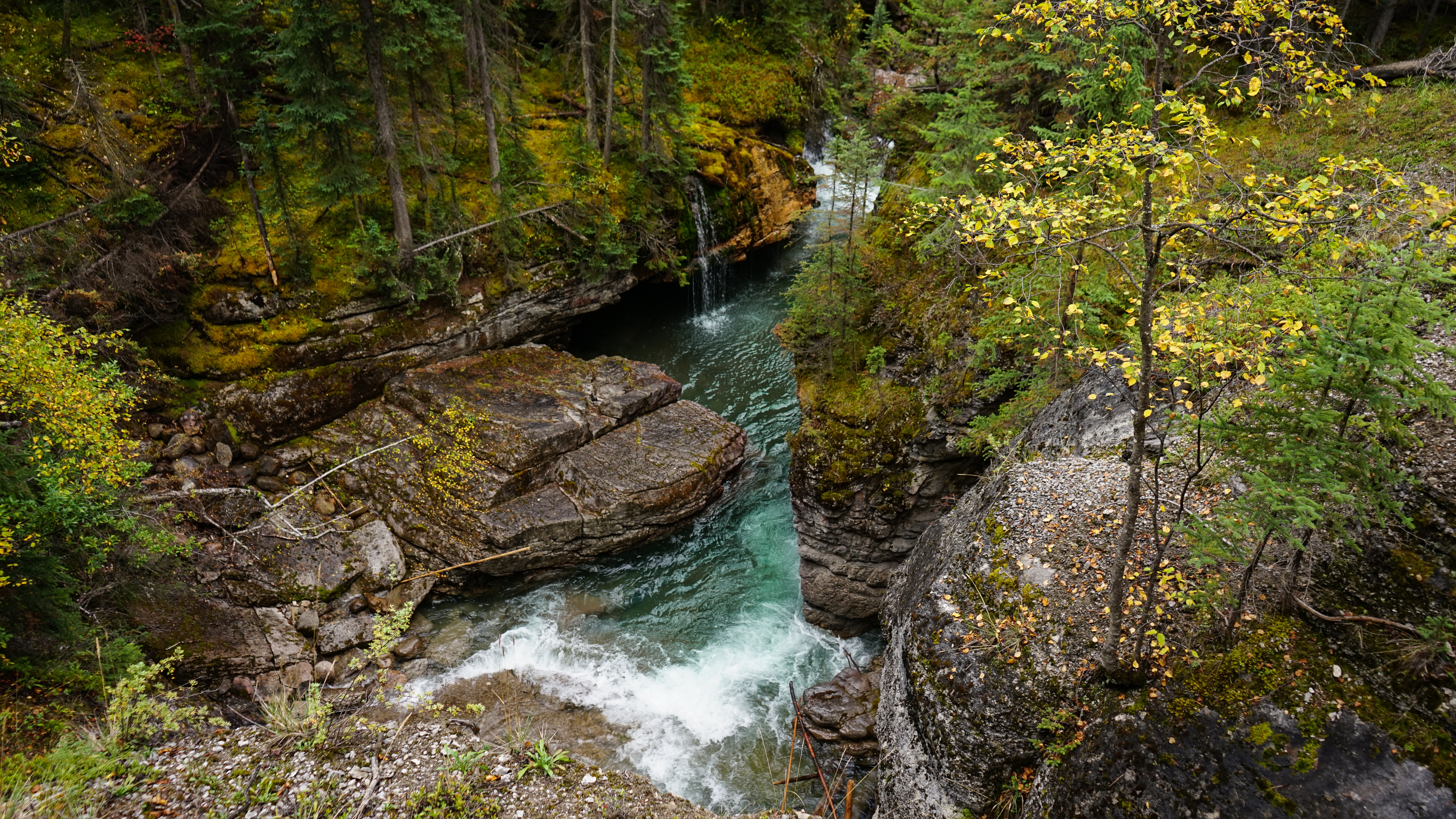 Turquoise water flowing through a lush limestone canyon