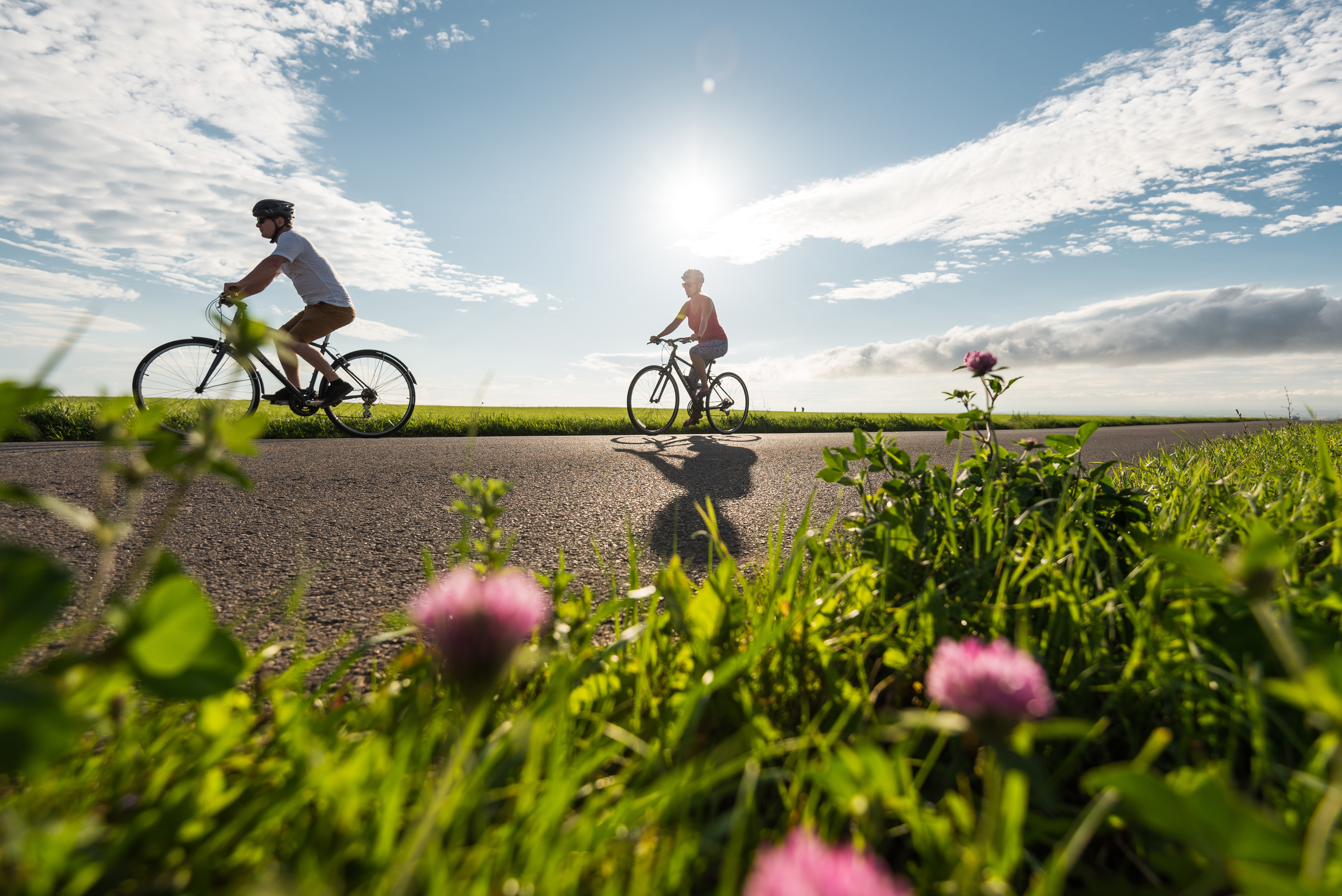 Two people cycling on a pathway past wildflowers