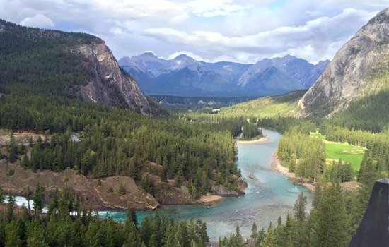 Daniel review of their null trip