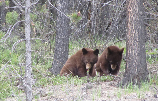 Tom and Teresa review of their [object Object] trip