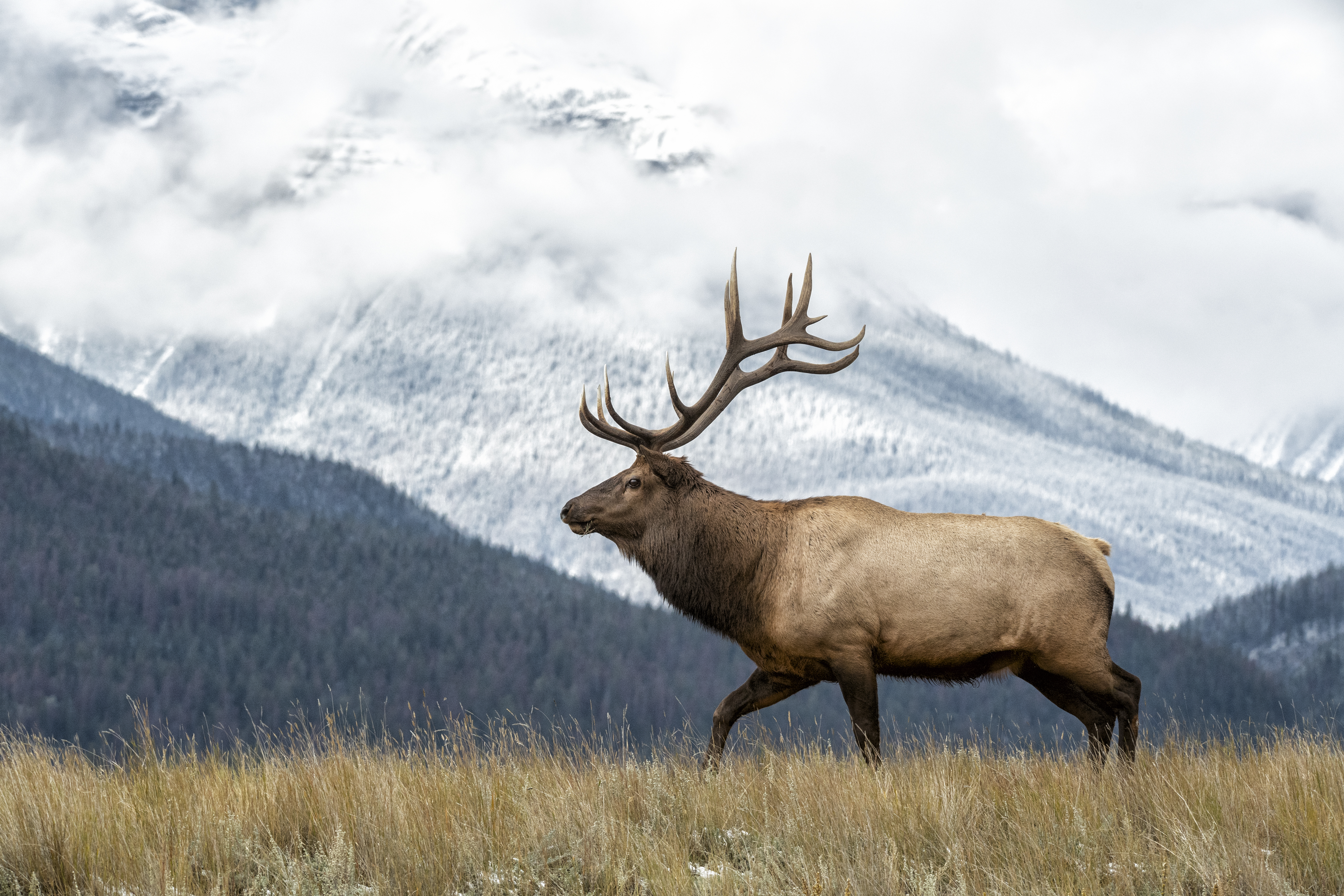 GettyImages-1281372007