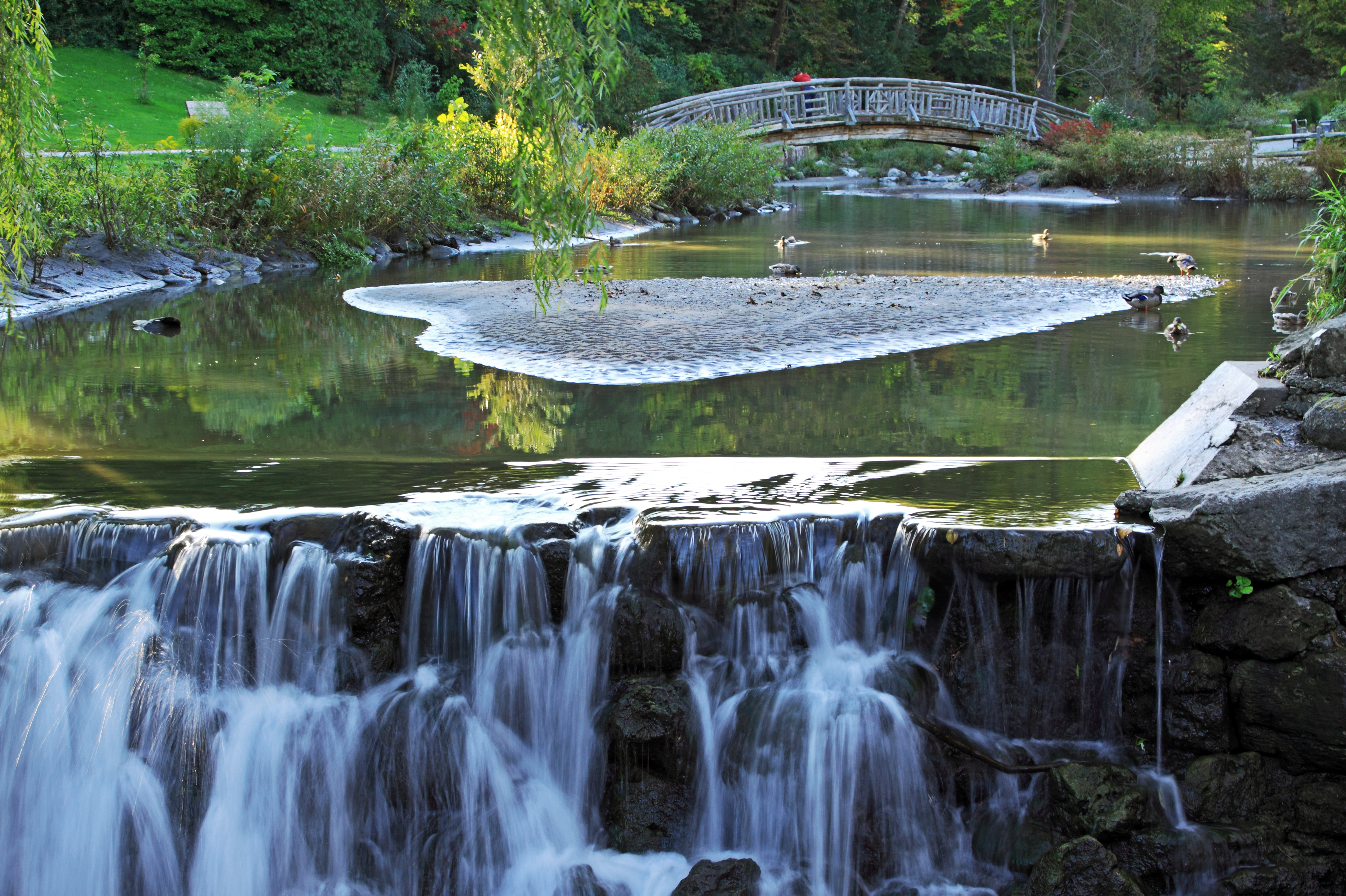 Garden with waterfall and decorative small bridge in the distance
