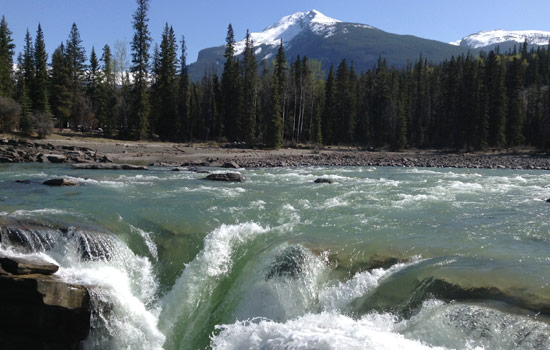 Judy and Howard review of their [object Object] trip