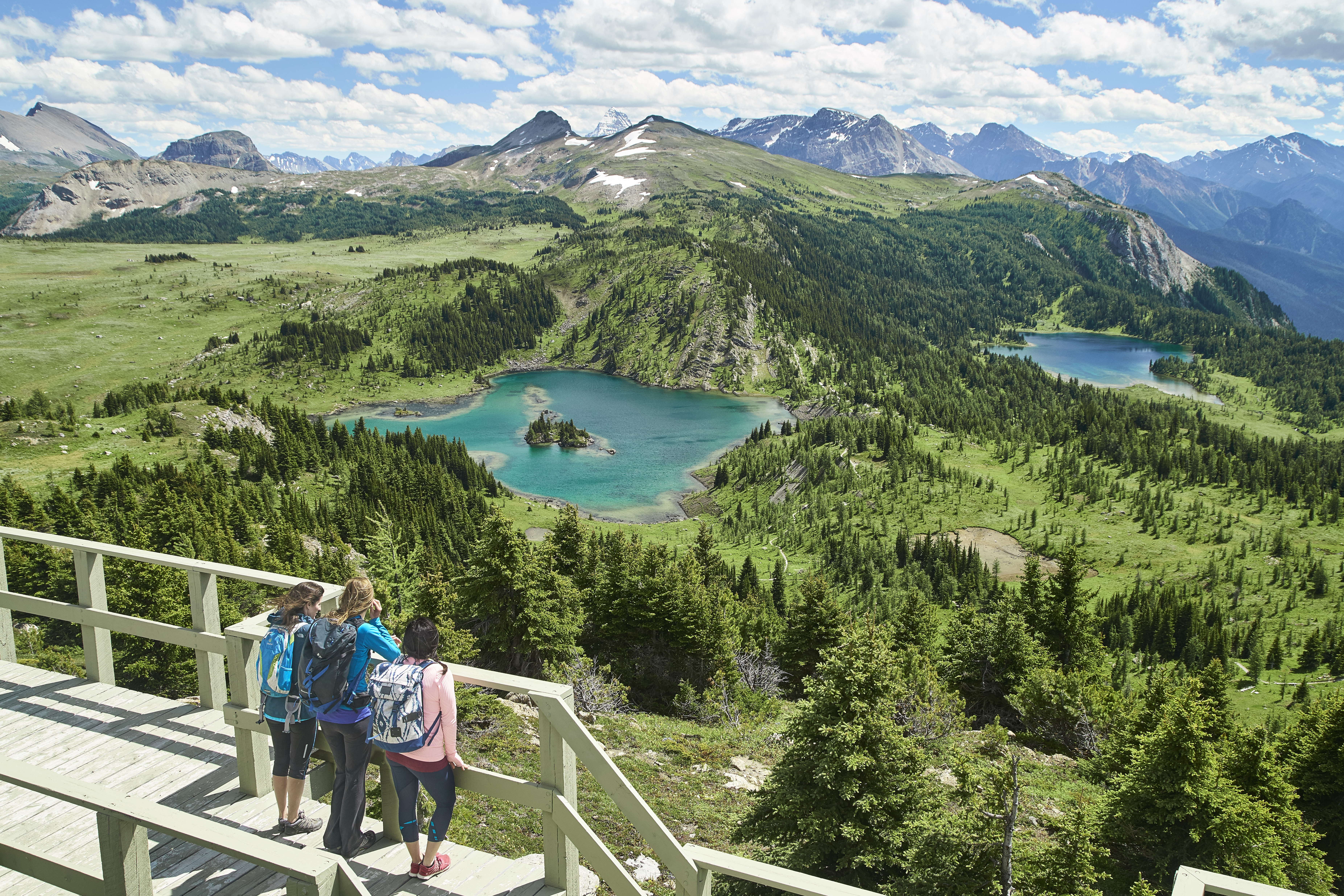Sunshine Meadows in Banff National Park in the summer 