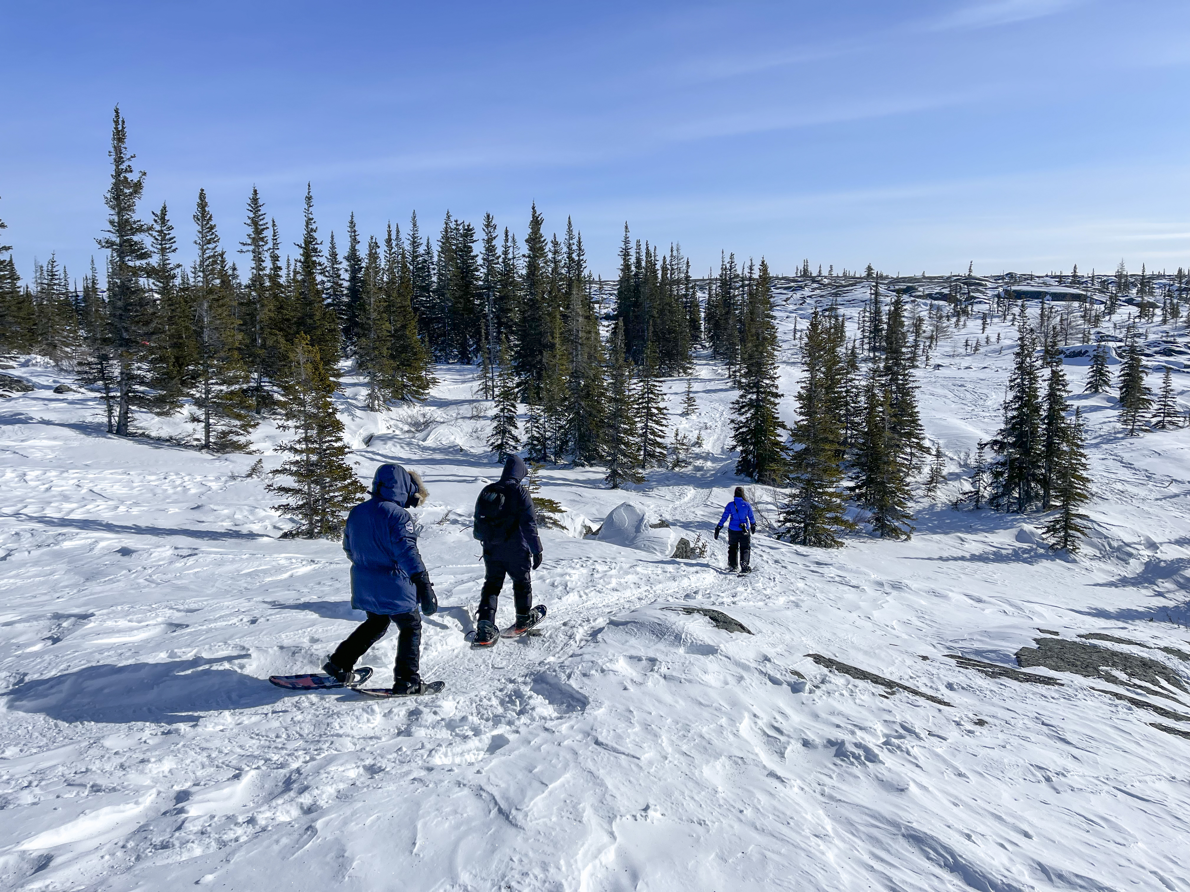 Hiking through the tundra in Churchill, Manitoba
