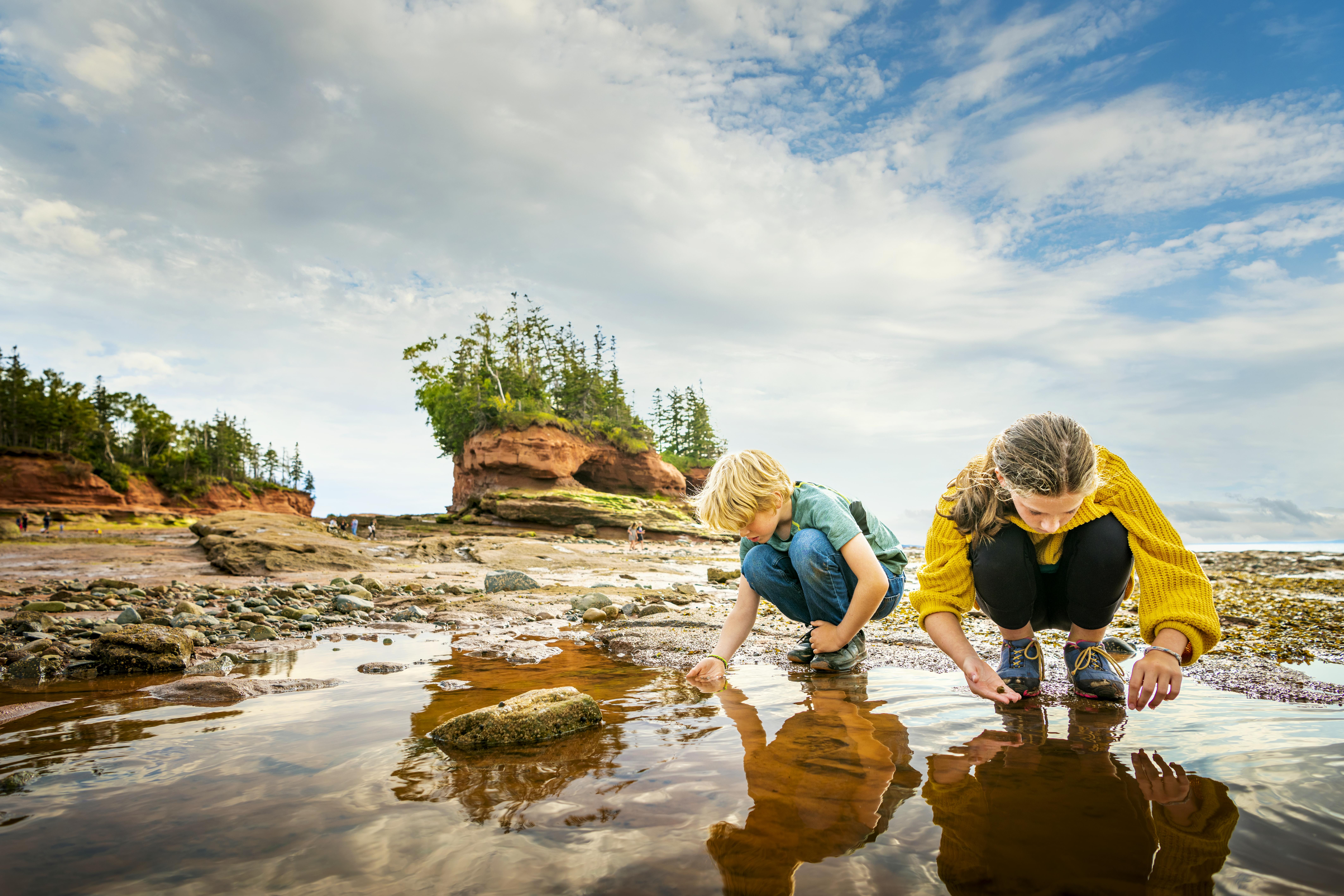 Children stand in small pool during low tide time when ocean floor is exposed in shore of Bay of Fundy