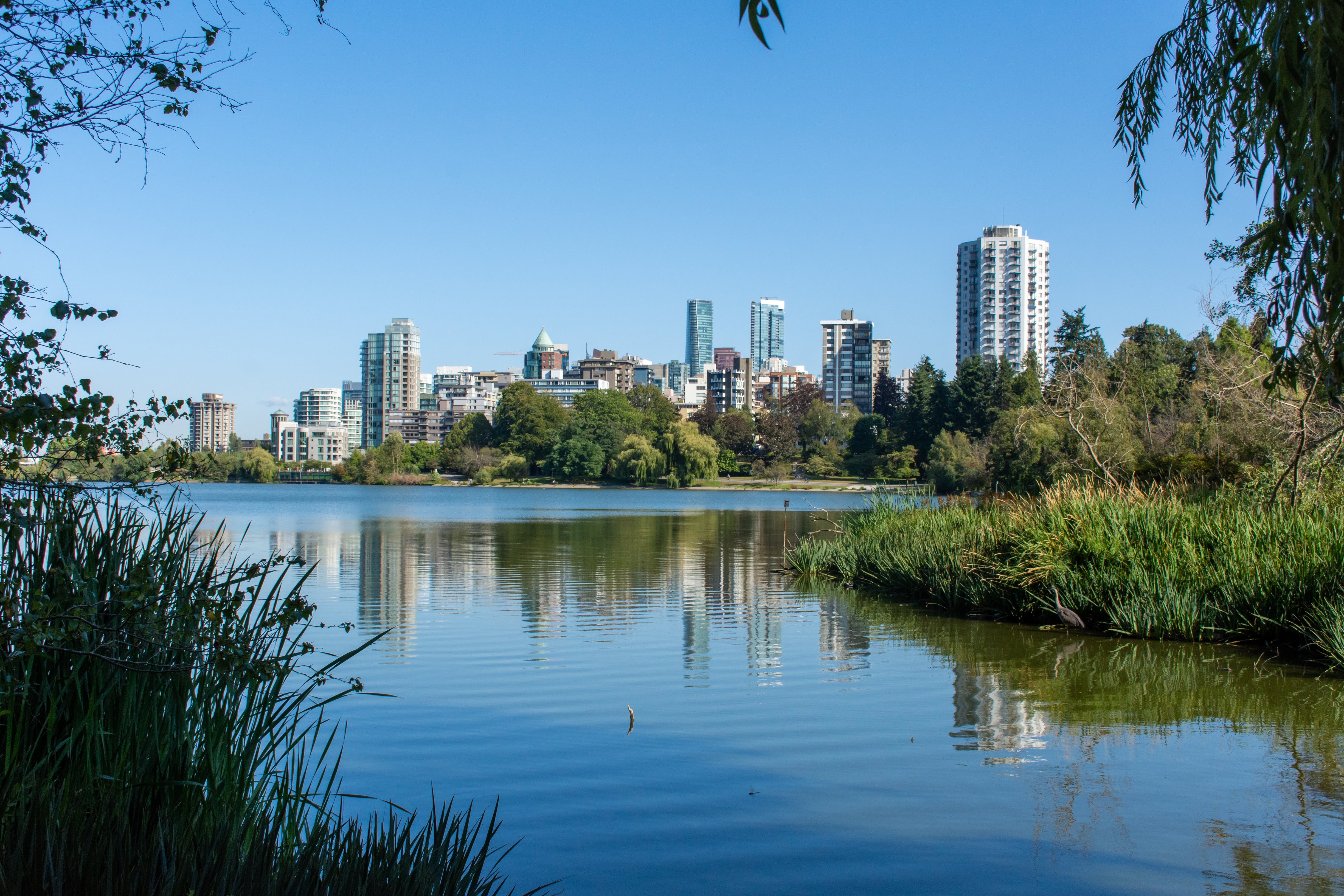 Lost Lagoon pond in Vancouver's Stanley Park in British Columbia, with view of buildings