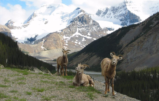 Elanor review of their [object Object] trip