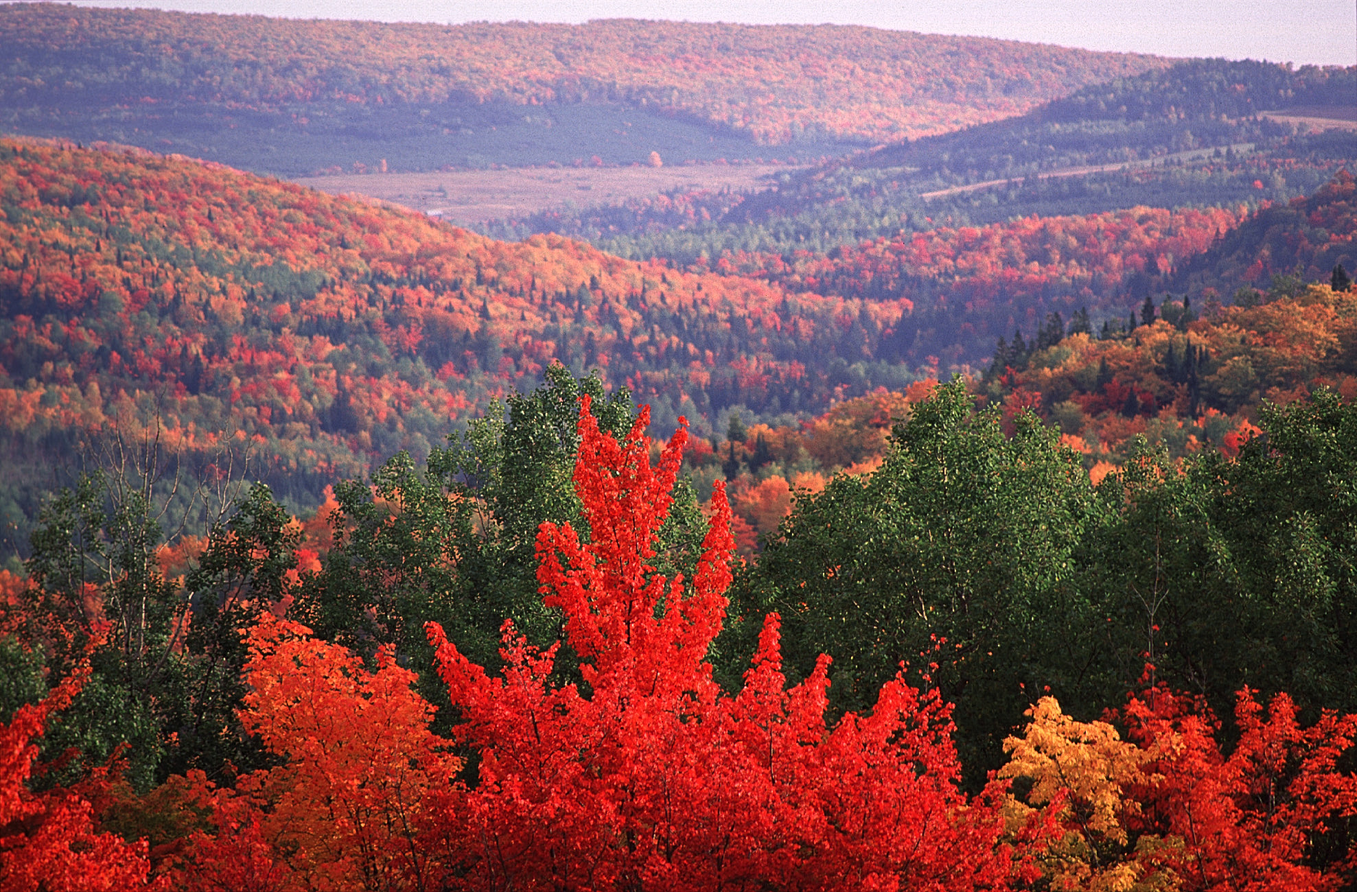 View of fall colour landscape in New Brunswick