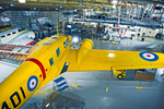Yellow airplane and other vintage aircrafts inside the Hangar Flight Museum