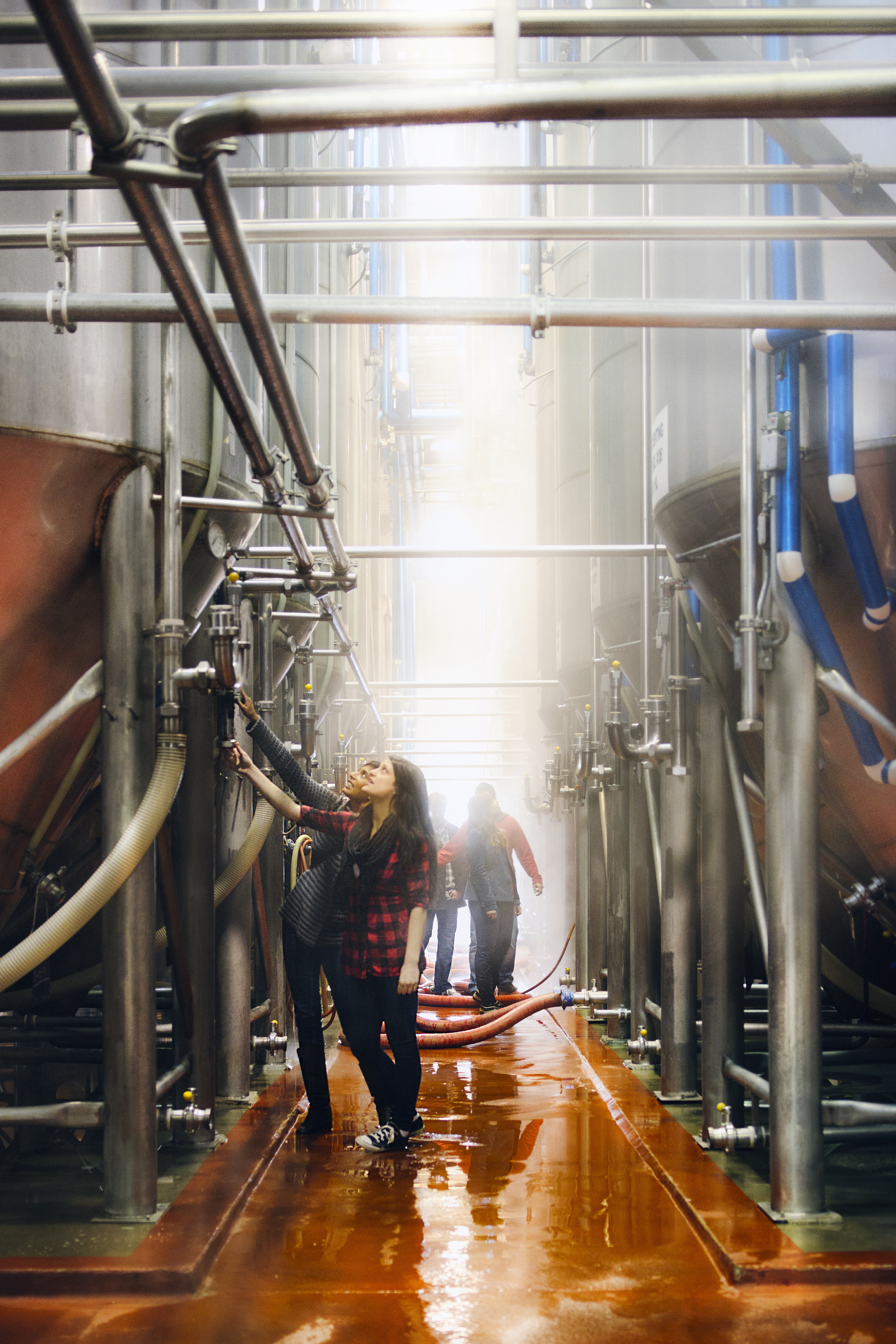 Visitors inspect craft brewing equipment on a tour in Big Rock Brewery