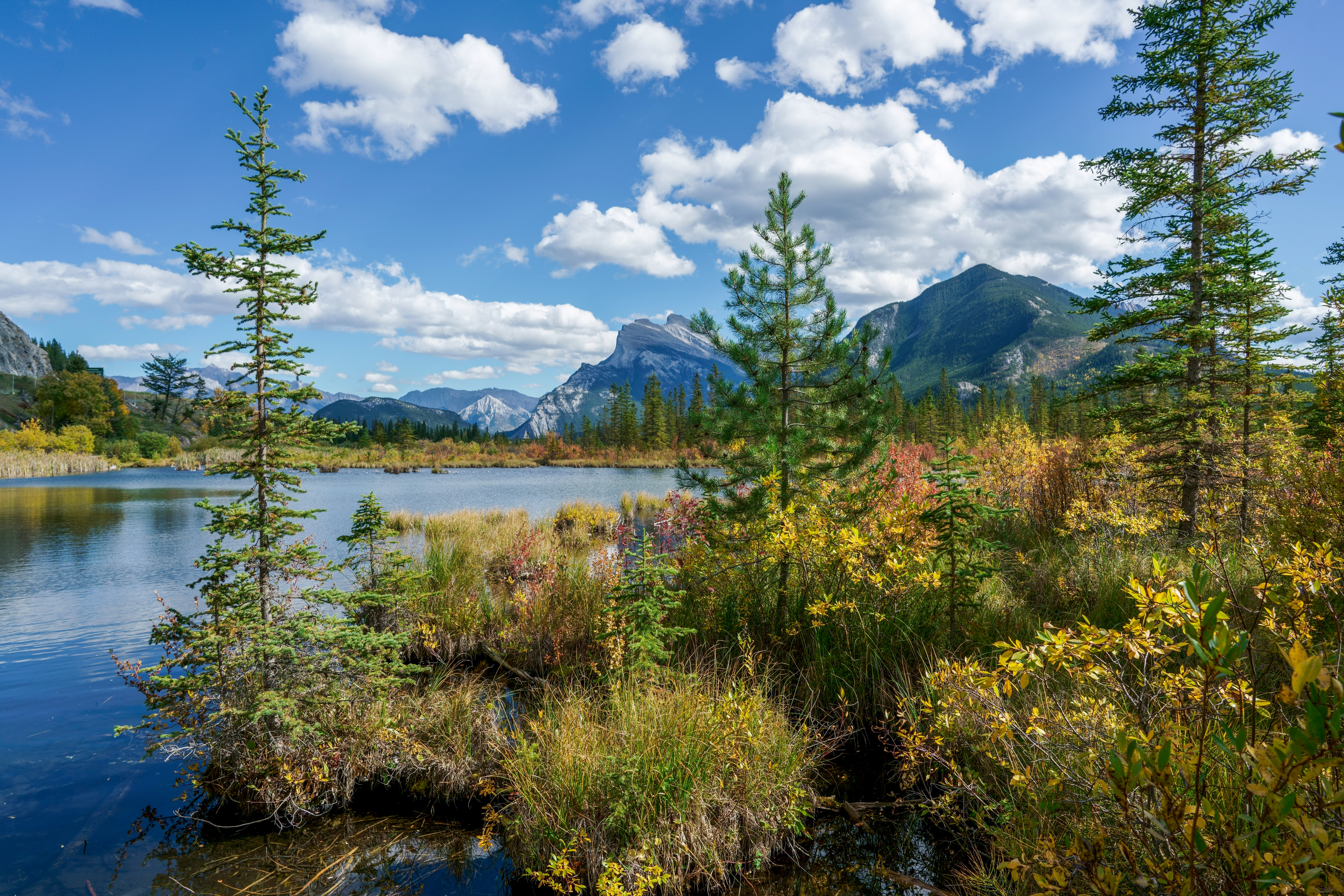 Fall colours at Vermillion Lakes in Banff with Mount Norquay in sight