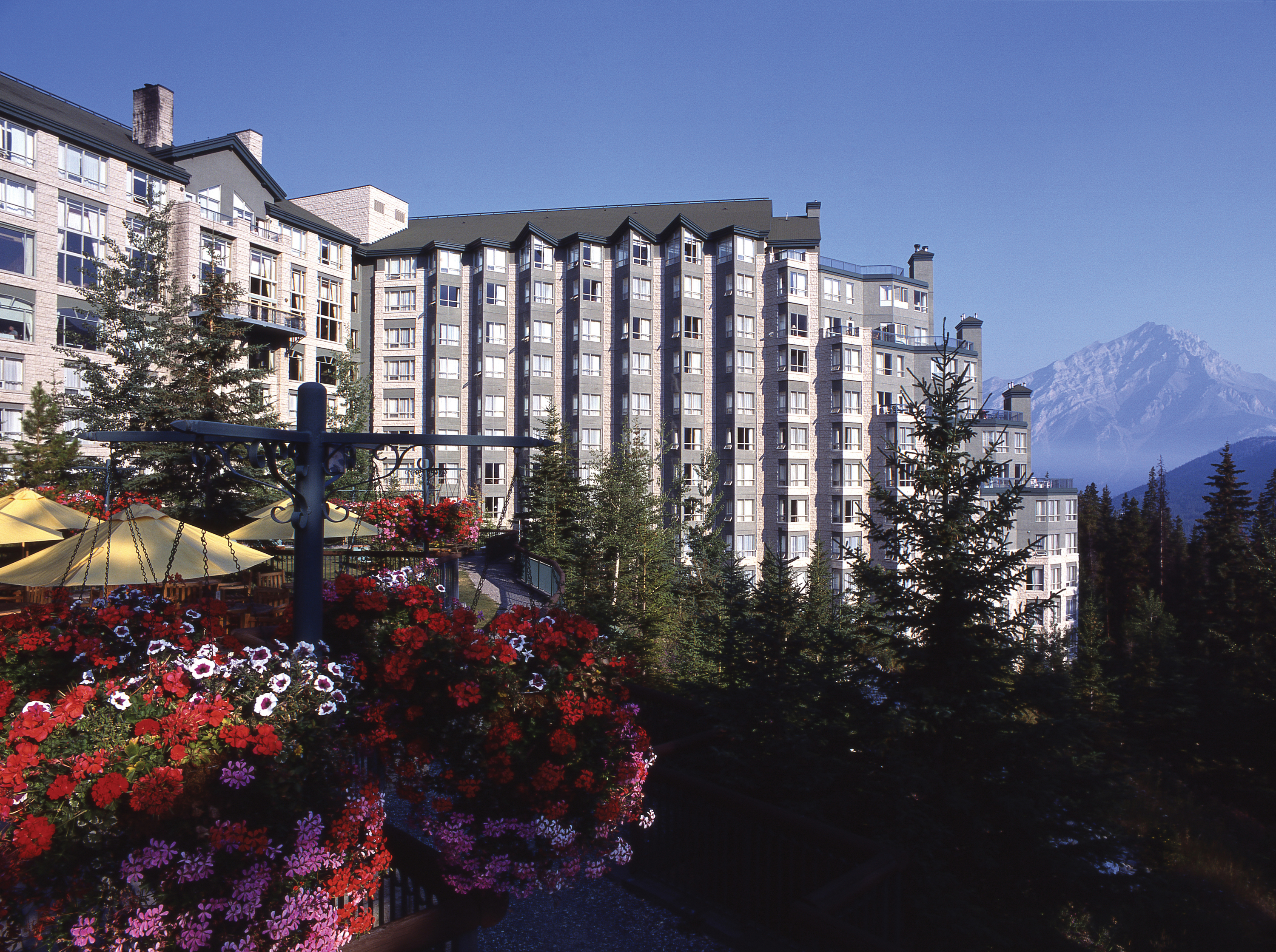 Rimrock hotel in banff with flowers and trees in the foreground and mountains behind
