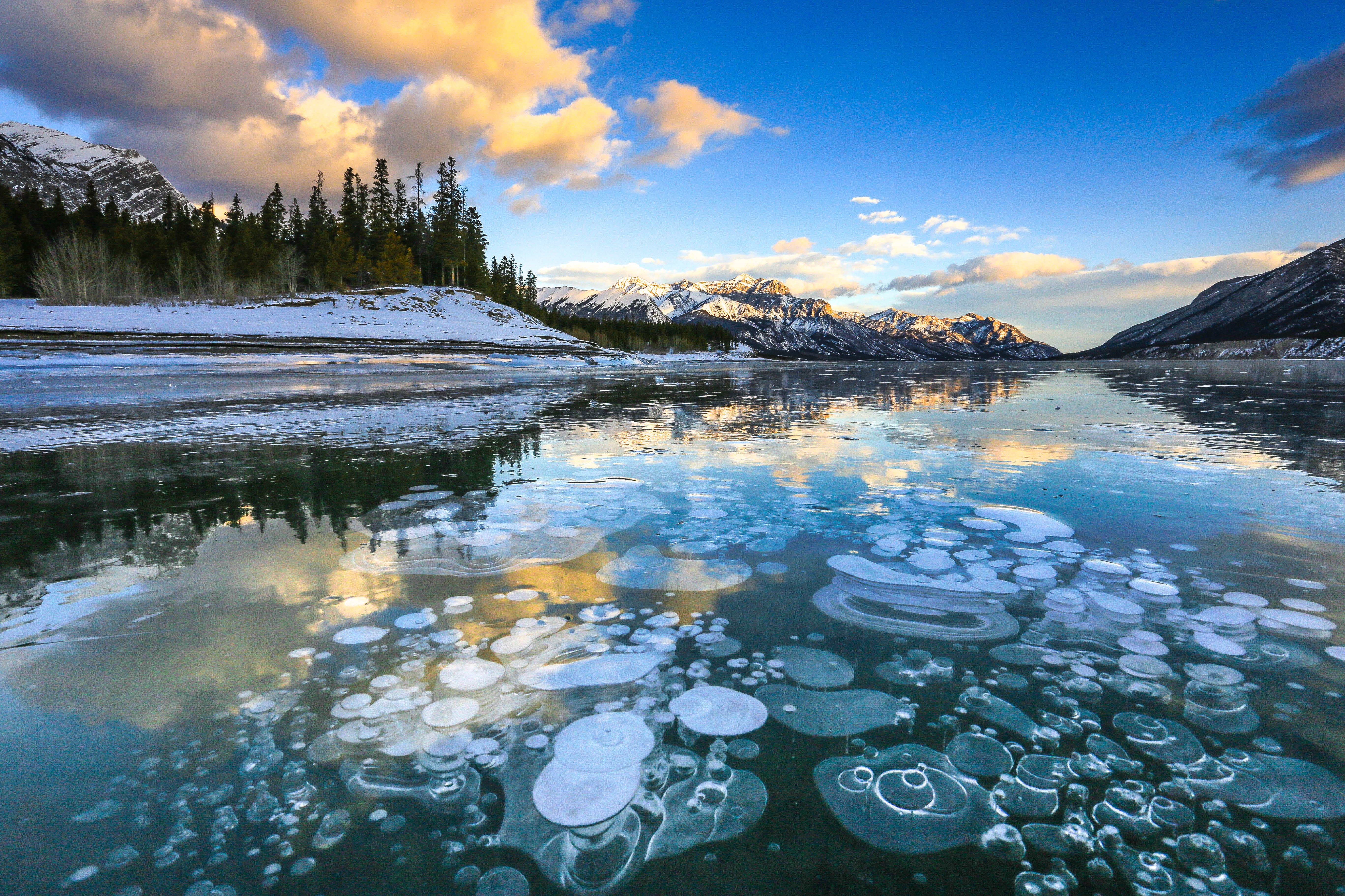 Bubbles in frozen over Abraham Lake with Canadian Rockies nearby in Alberta