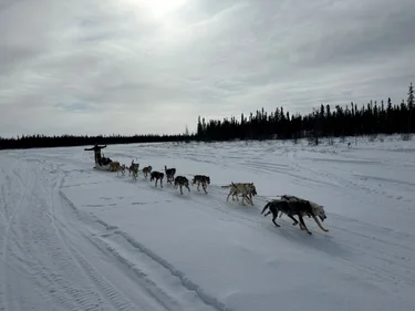Dogsledding through the winter landscape near Yellowknife