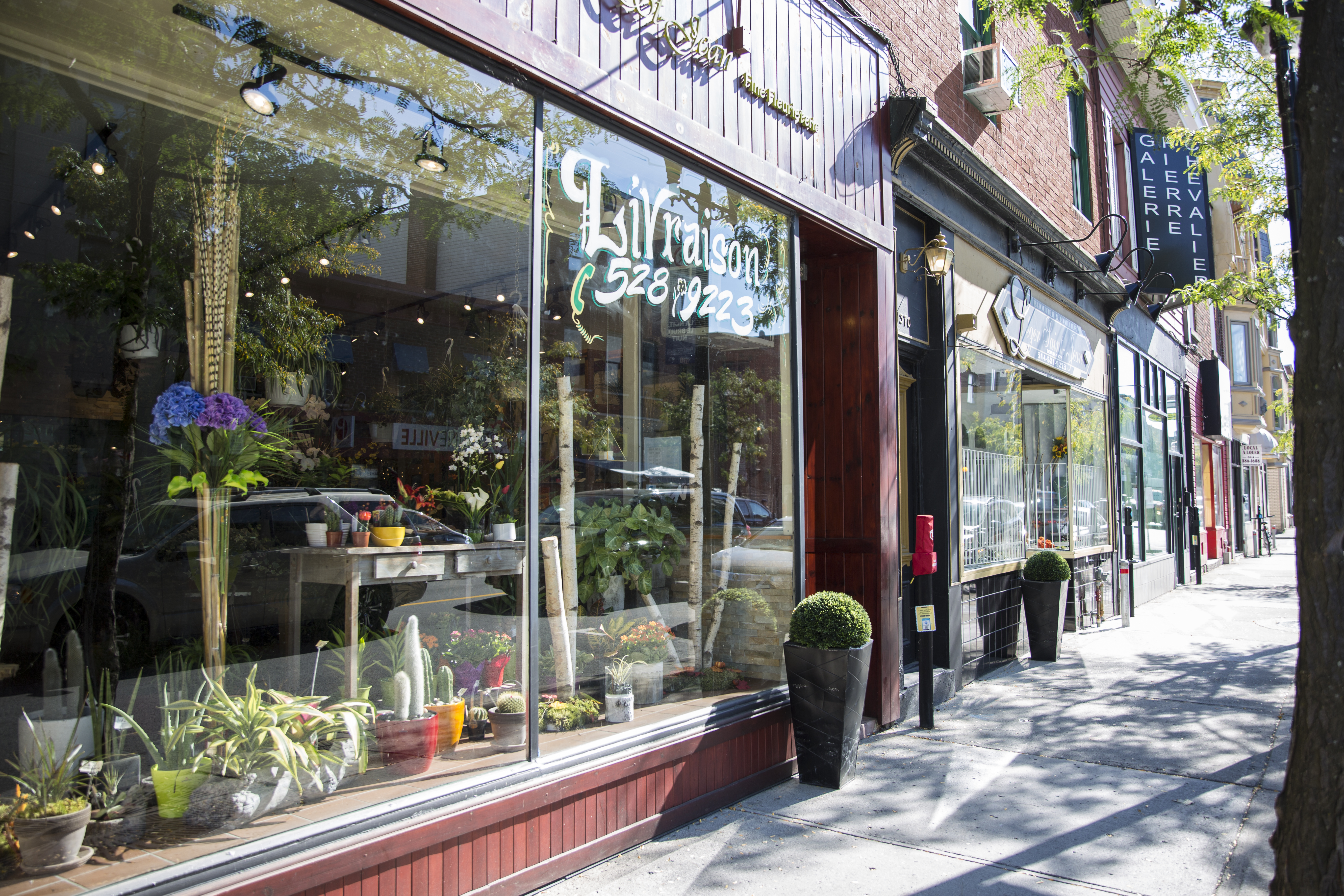 The Village Streets in Montreal
