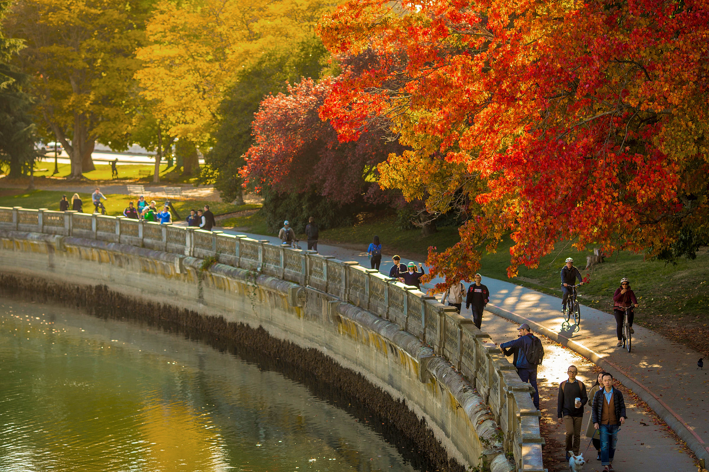People walk along the Stanley Park seawall in the fall 