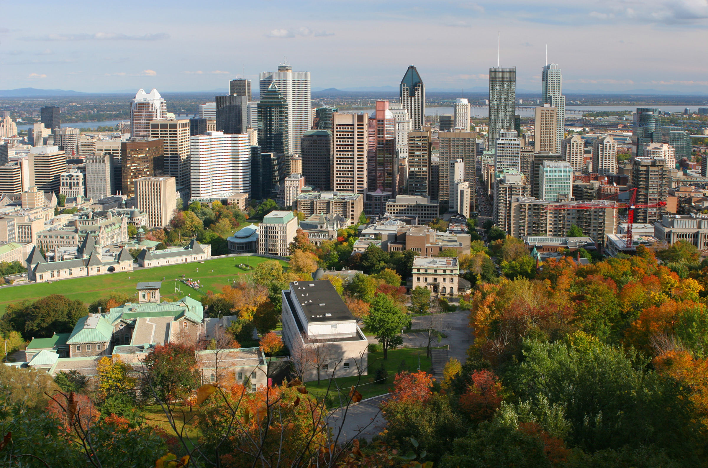 Montreal skyline during the day from Mont Royal, fall colours