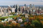 Fall colours and the Montreal city skyline