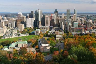 Montreal skyline during the day from Mont Royal, fall colours