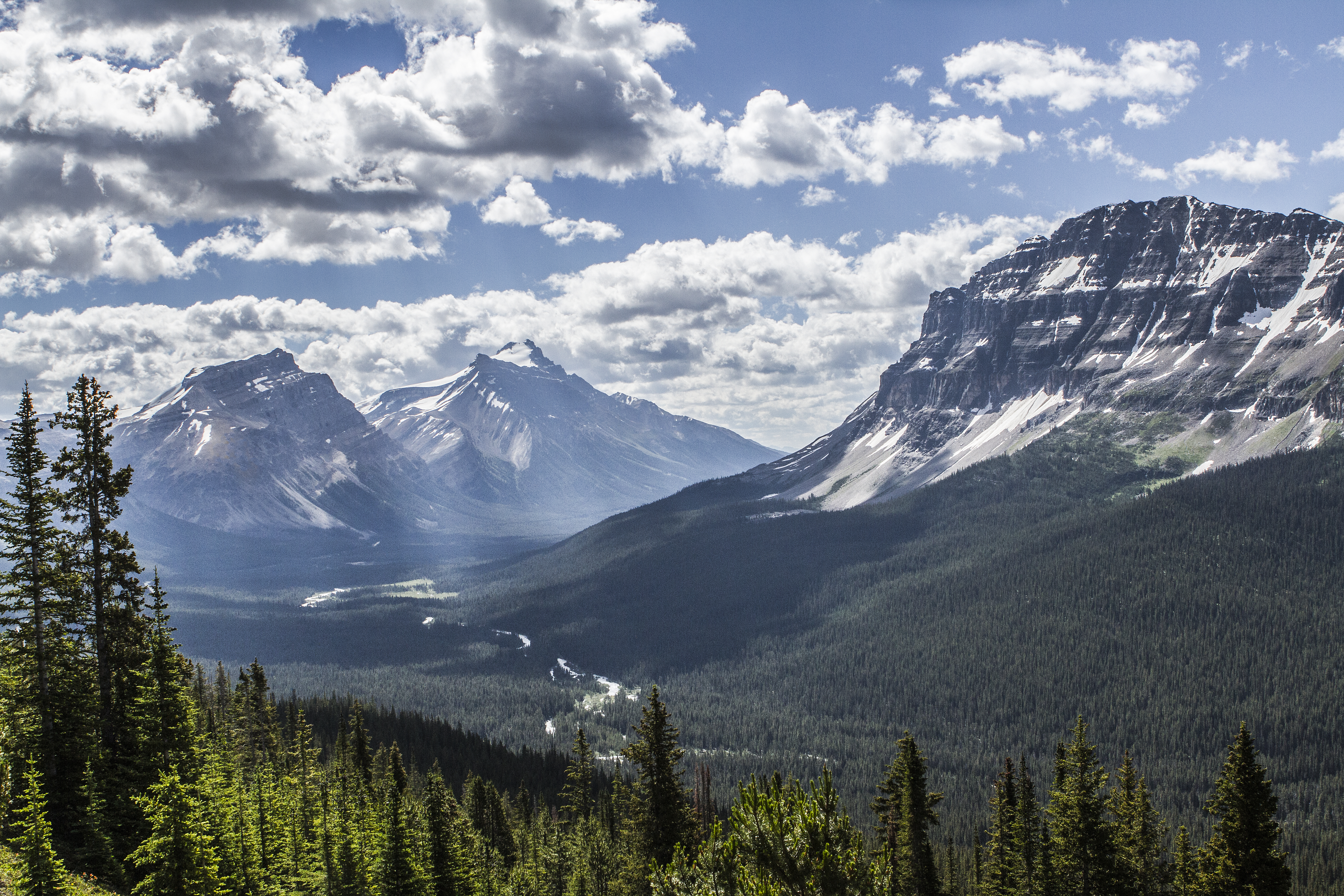 Lake in deep valley by alpine trees in the Canadian Rocky Mountains