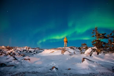 Person in a yellow jacket standing on a snowy hill looking up at the northern lights