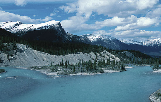 John and Dorothy review of their null trip