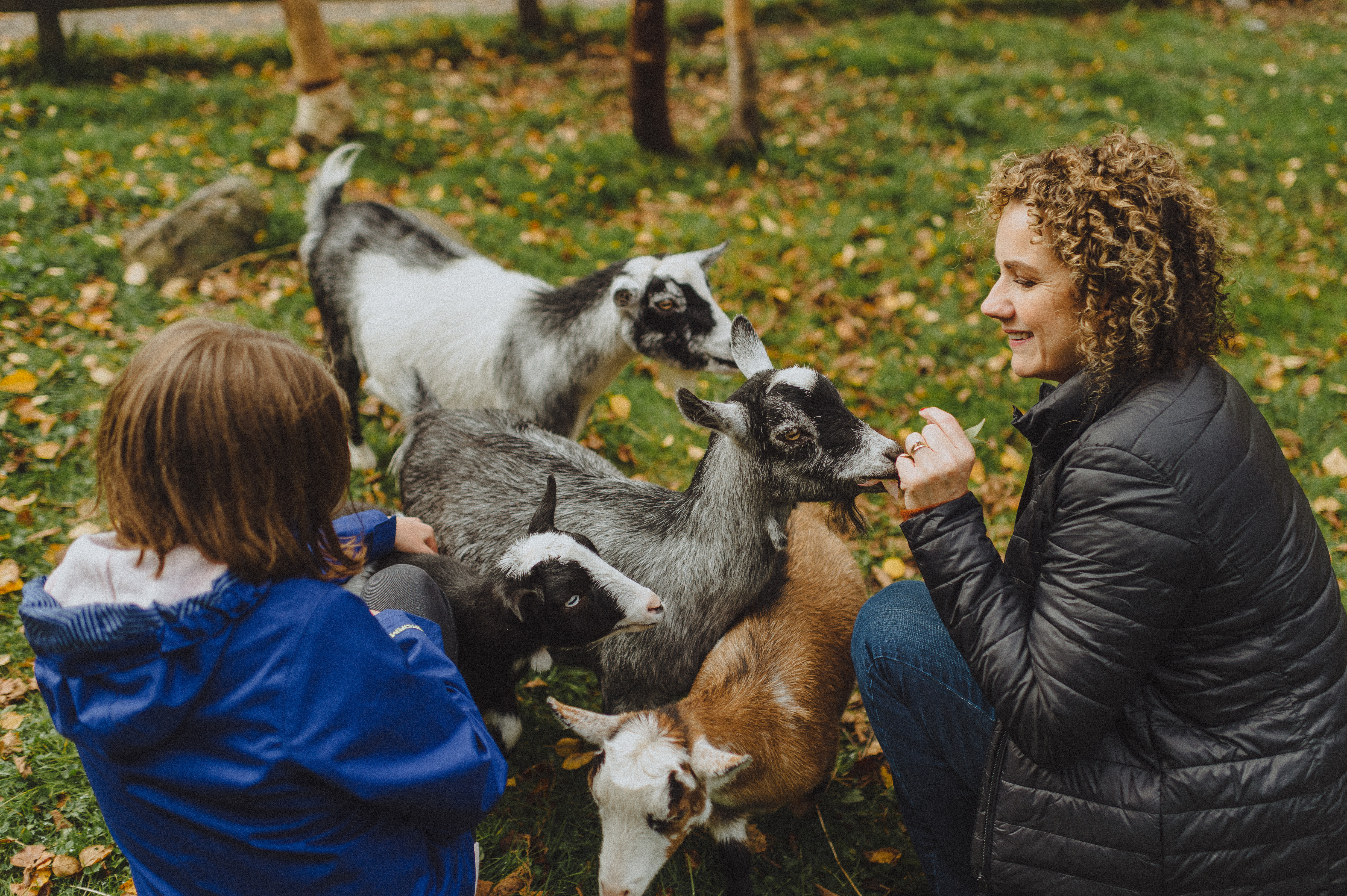 Mother and daughter feed and pet young goats in Kingsbrae Garden in Saint Andrews, New Brunswick