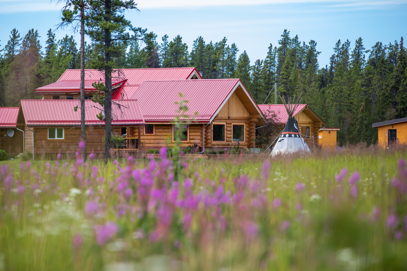 Wooden Cabins in focus in background with wildflowers in foreground
