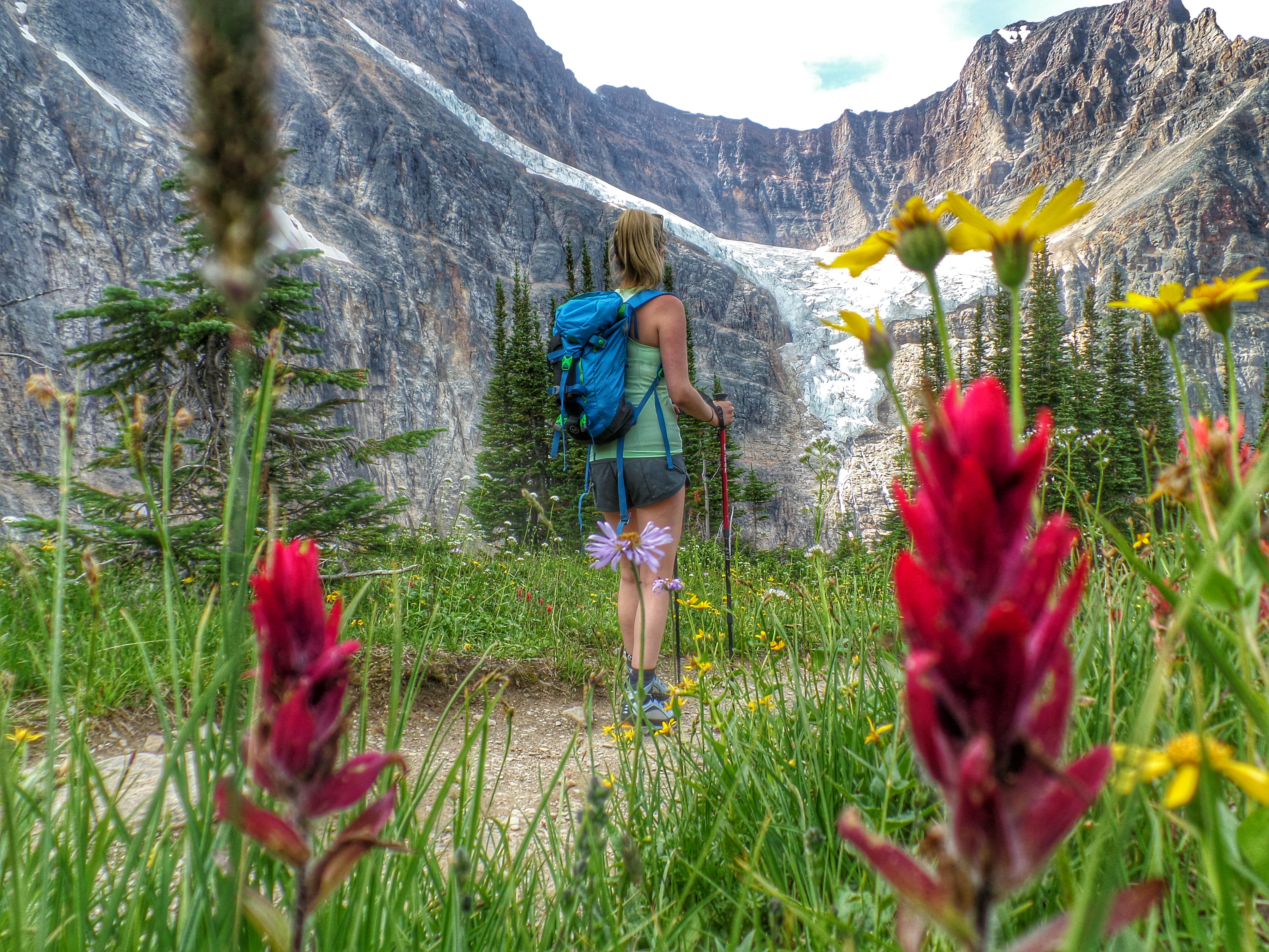 Hiker gazes across wildflower meadow to a glacier cascading down a mountainside in Jasper National Park.