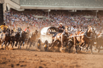 A crowd of people watch chuckwagon racing at the Calgary Stampede