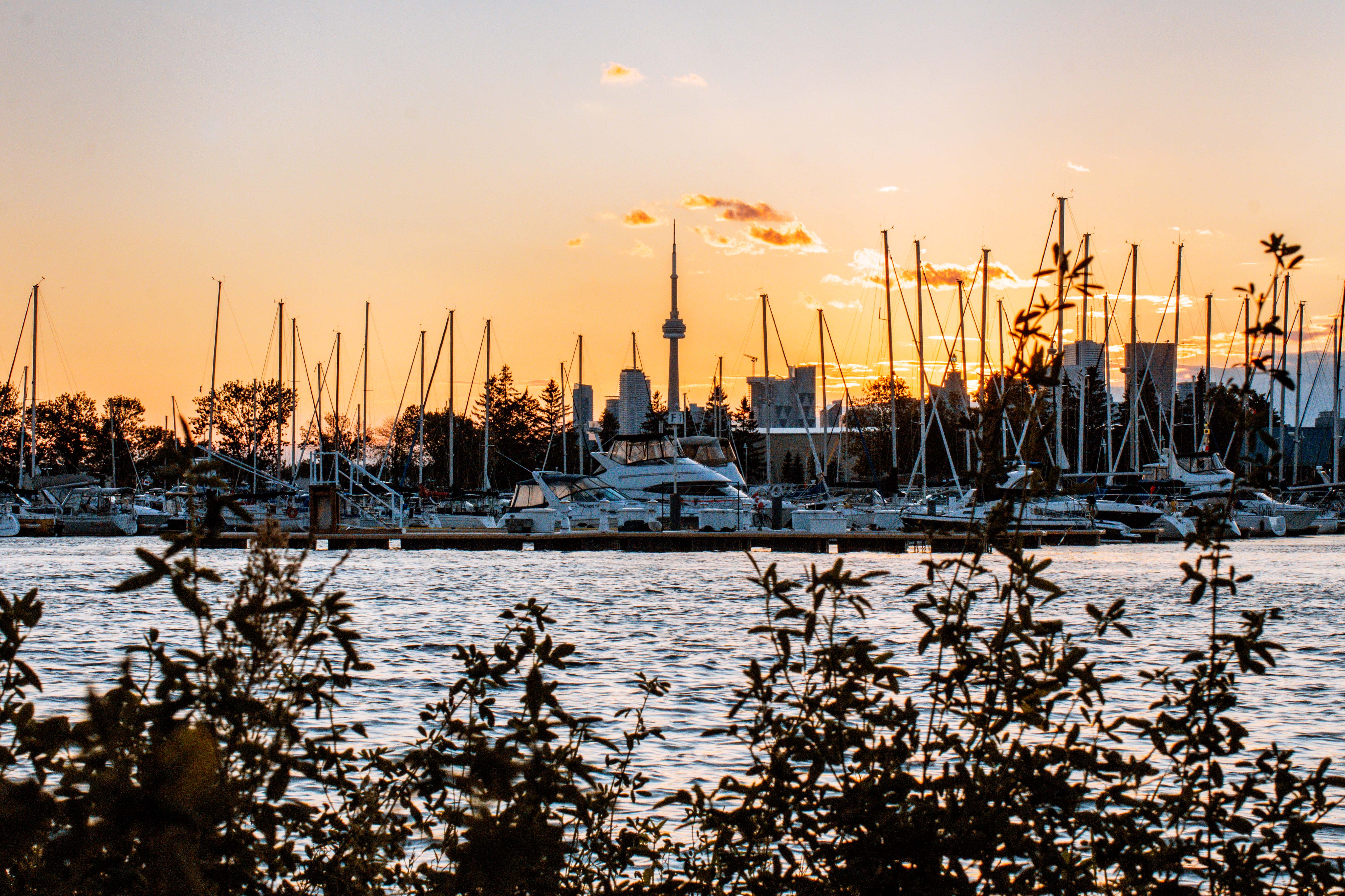 View across water of the sun setting behind the Toronto marina and CN Tower