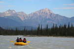 Whitewater rafting on Athabasca river Jasper National Park in the Canadian Rockies  