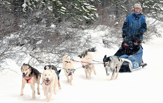 Judith and John review of their [object Object] trip