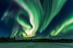 Green swirling Northern Lights above a snowy landscape in Yellowknife