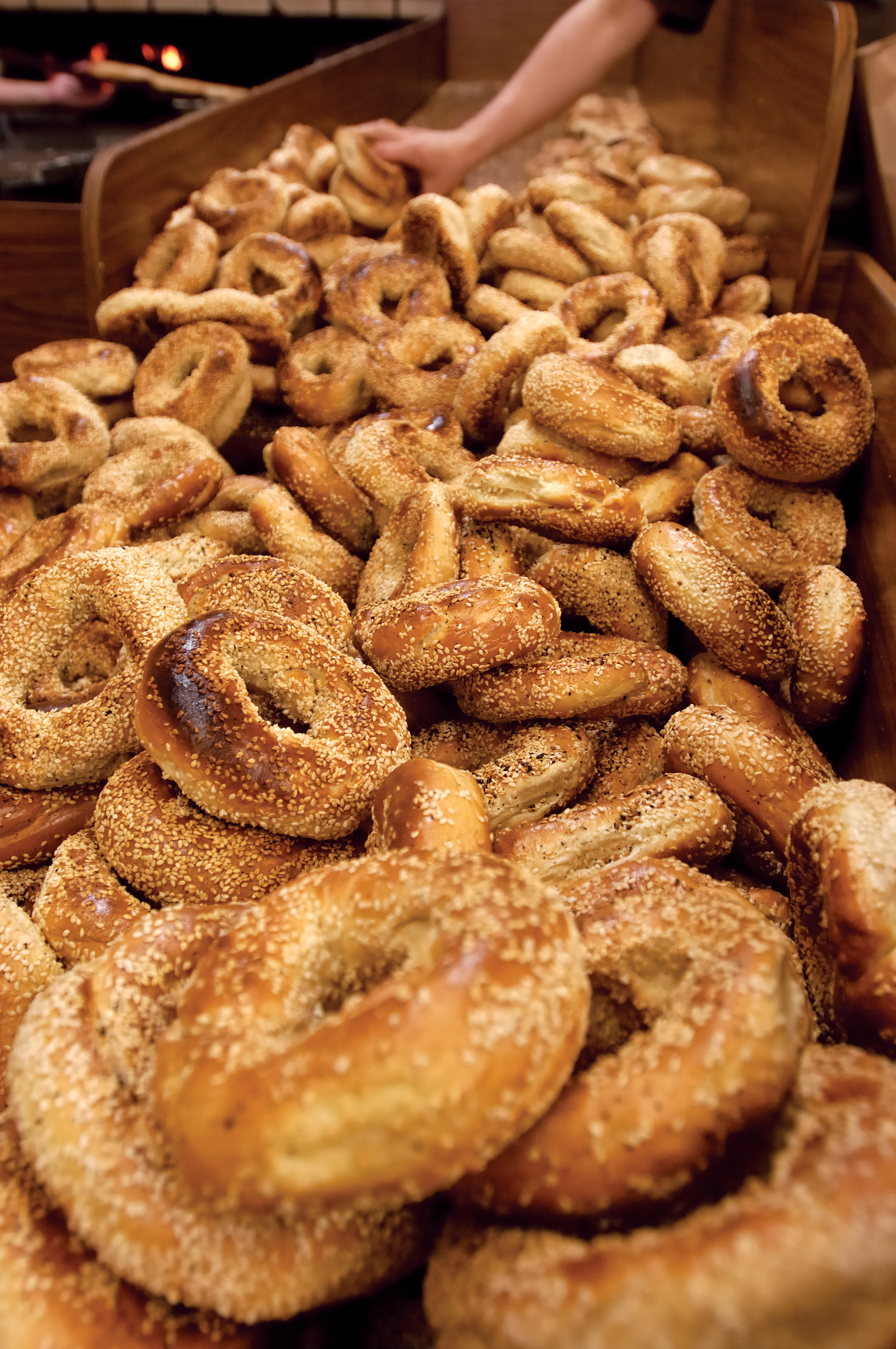 Close up of a pile of fresh baked bagels