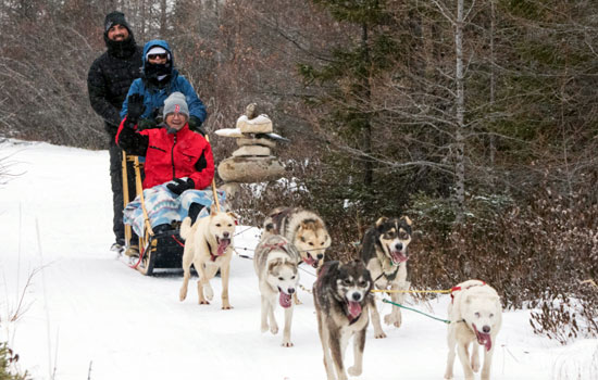 Janet and Paul review of their [object Object] trip