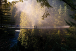 People walk across Capilano Suspension Bridge in the forest in North Vancouver