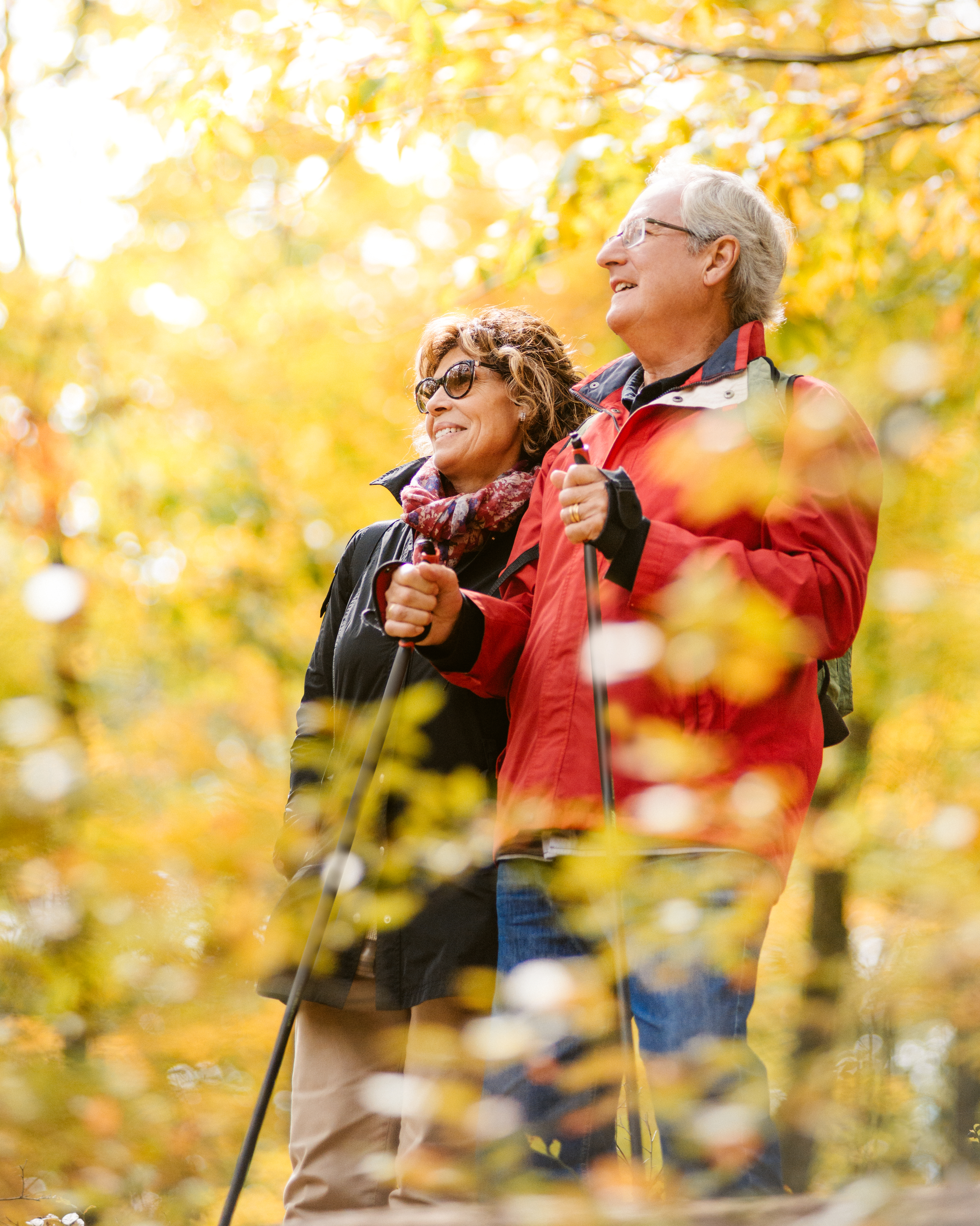 Senior couple with walking poles go hiking through the forest during fall