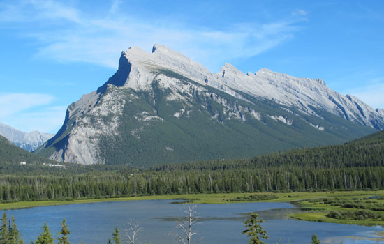 Linda and Michael review of their [object Object] trip