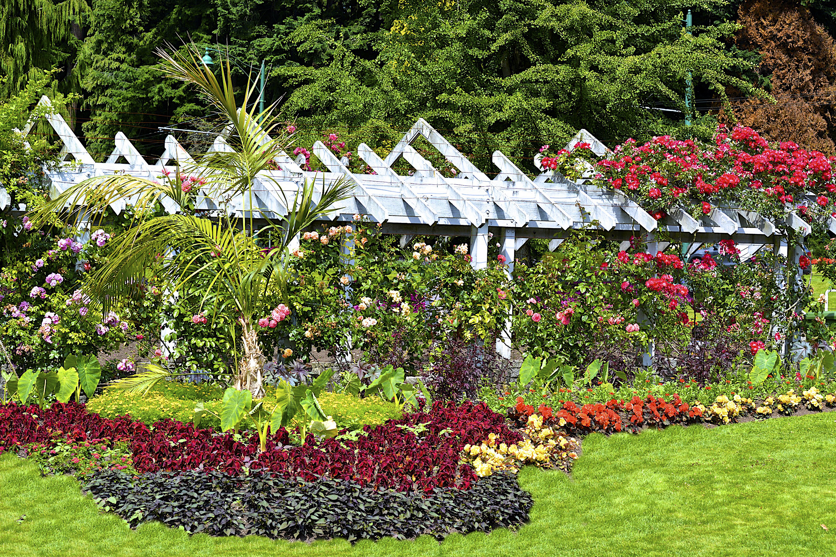 Outdoor garden with colourful floral displays and greenery